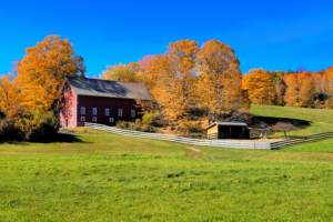 farm