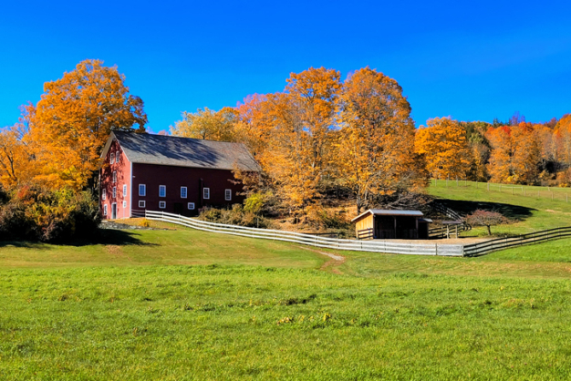 farm