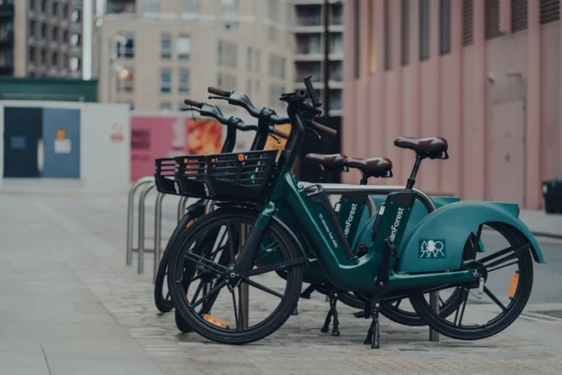 Forest E-Bike